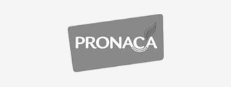 Pronaca