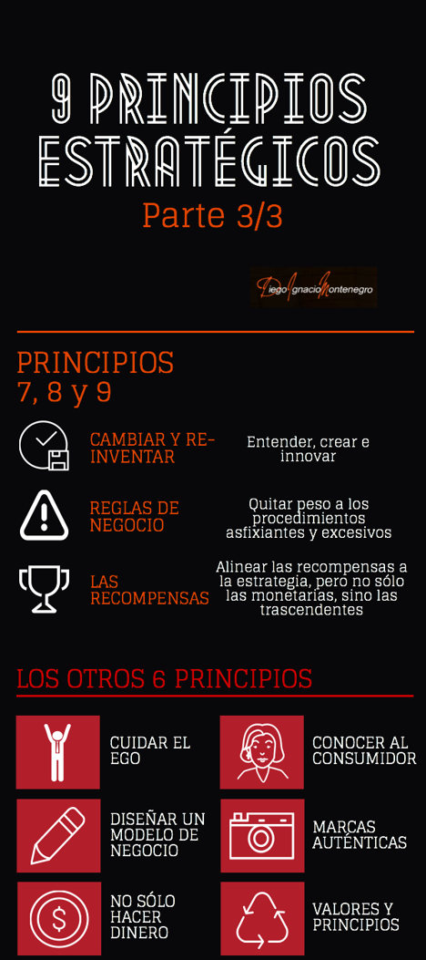 9 principios infografia