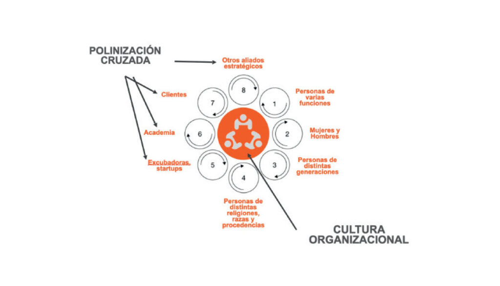 Polinización Cruzada