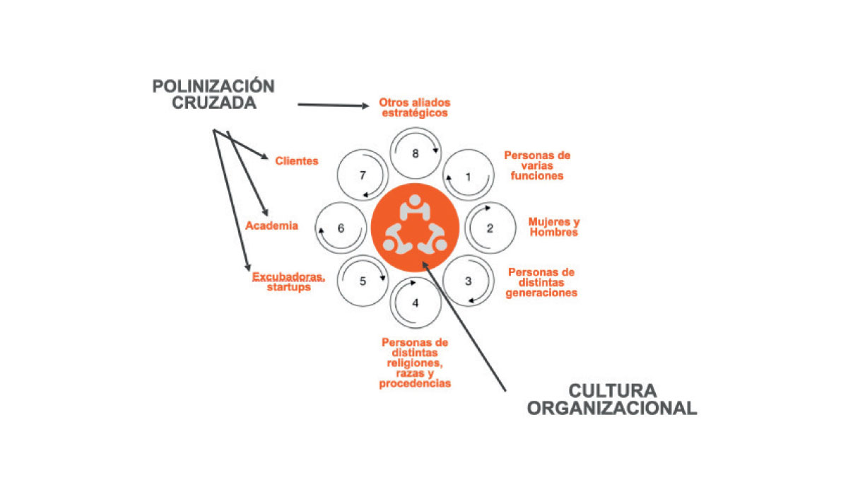 Exclusión de la Mujer en el Liderazgo y la Participación Empresarial